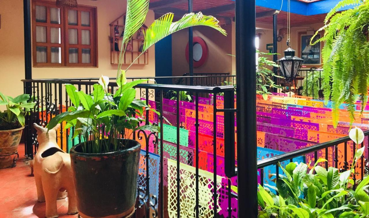 Hotel Cazomalli Oaxaca Zewnętrze zdjęcie