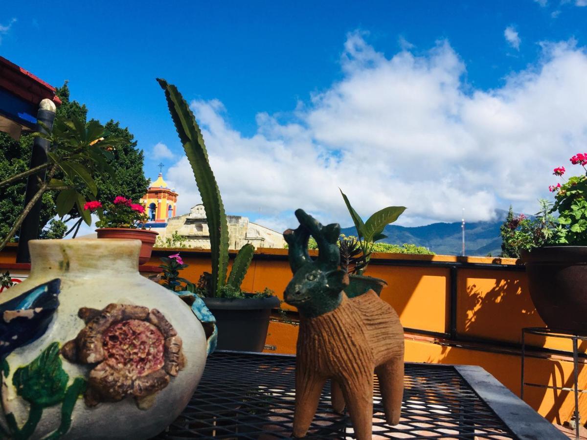 Hotel Cazomalli Oaxaca Zewnętrze zdjęcie